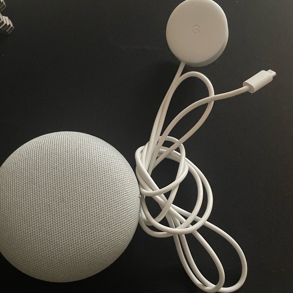 Google Home Mini Gen 1